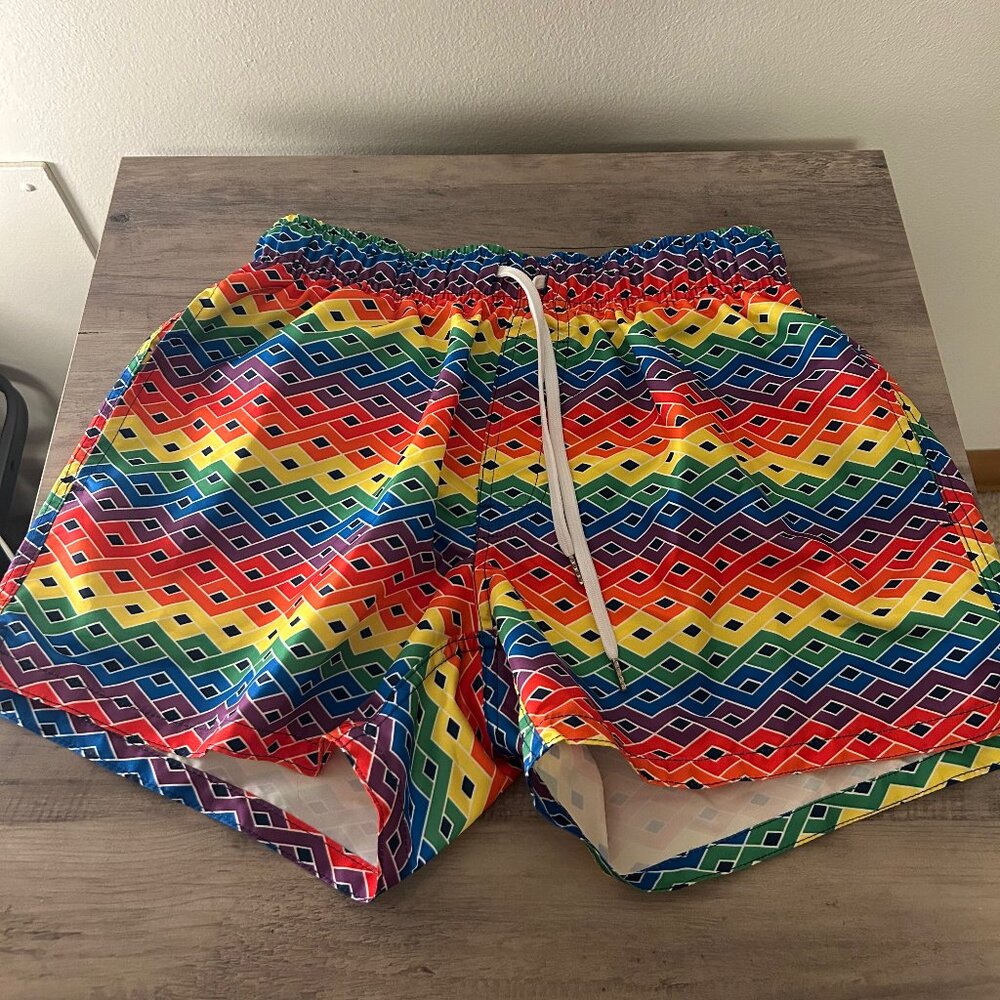 Rainbow Shorts/Swim Trunks, Medium (fits a womens 26/27 waist)